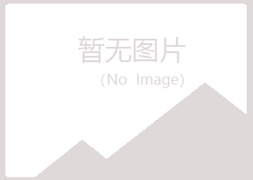 鹤岗南山白易建设有限公司